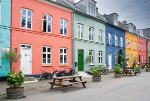 Palacio de Amalienborg, Nyhavn, Frederiks Kirke, Visita a Copenhague
