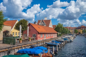 Palacio de Amalienborg, Nyhavn, Frederiks Kirke, Visita a Copenhague