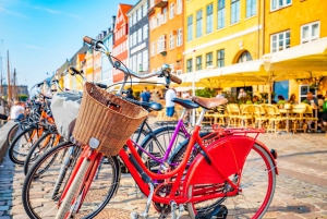 Palacio de Amalienborg, Nyhavn, Frederiks Kirke, Visita a Copenhague