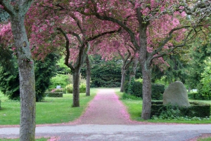 Copenhagen Off the Beaten Tracks: Nørrebro Bike Tour