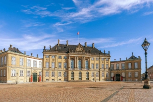 Palacio de Amalienborg, Nyhavn, Frederiks Kirke, Visita a Copenhague