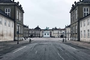 Copenhagen: Art and Culture Tour with a Local Guide