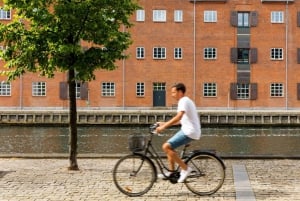 Best of Copenhagen: Private Walking Tour with a Local