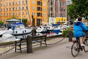 Best of Copenhagen: Private Walking Tour with a Local