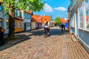 Het beste van Odense met de auto of trein vanuit Kopenhagen