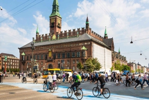 Tour in bicicletta di Copenaghen: La Sirenetta e le gemme nascoste