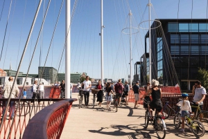 Tour in bicicletta di Copenaghen: La Sirenetta e le gemme nascoste