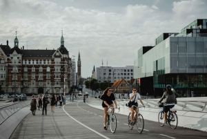 Tour in bicicletta di Copenaghen: La Sirenetta e le gemme nascoste