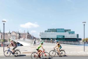 Tour in bicicletta di Copenaghen: La Sirenetta e le gemme nascoste