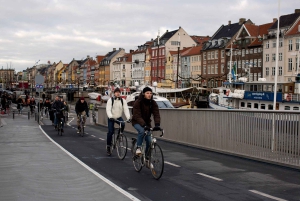 Tour in bicicletta di Copenaghen: La Sirenetta e le gemme nascoste
