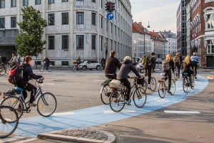 Tour in bicicletta di Copenaghen: La Sirenetta e le gemme nascoste