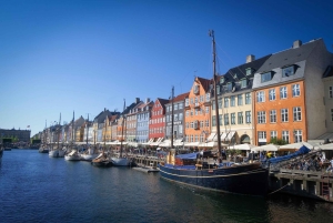 Brewing Bliss: A Private Copenhagen Beer Tasting Journey