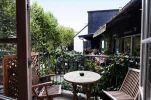 Carlton 66 Guldsmeden