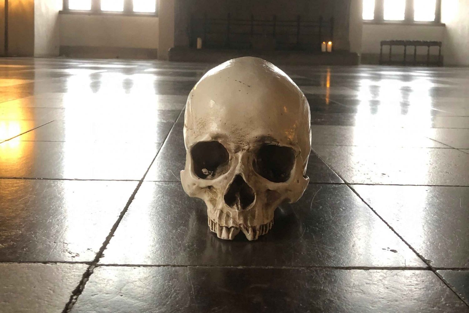 Full-Day Tour; Castle, Palace, Cathedral and Viking Ships