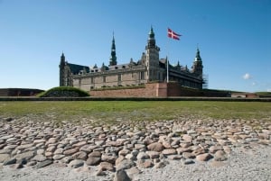 Full-Day Tour; Castle, Palace, Cathedral and Viking Ships