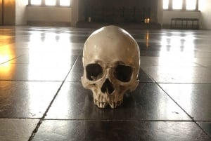 Full-Day Tour; Castle, Palace, Cathedral and Viking Ships