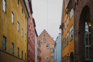 Centro di Copenaghen: tour per piccoli gruppi di 2 ore a piedi