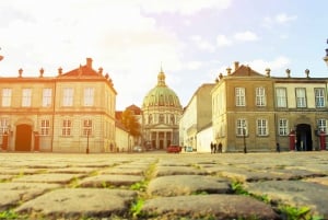 Kopenhagen: stadstour van 3 uur met ticket voor kasteel Rosenborg