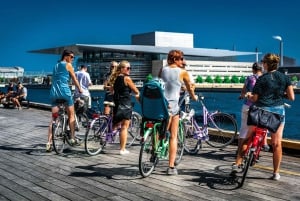 Copenhagen: 3-hour Private Guided Bike Tour