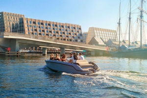 Copenaghen: tour privato in barca di 1, 2 o 3 ore con capitano