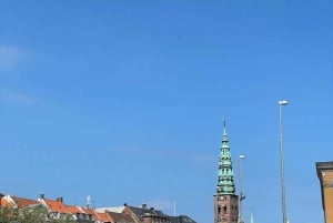 Copenaghen: tour privato in barca di 1, 3 o 4 ore con capitano