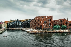 København: 1,5-timers privat byvandring i Christianshavn