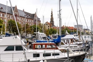 København: 1,5-timers privat byvandring i Christianshavn