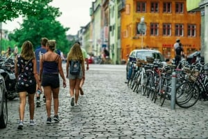 København: 1,5-timers privat byvandring i Christianshavn