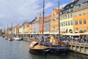 Copenaghen: tour in bicicletta di 2,5 ore con una guida locale