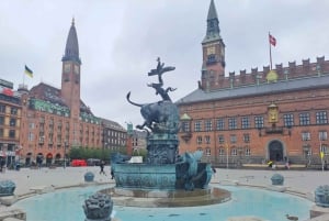 Copenaghen: tour in bicicletta di 2,5 ore con una guida locale