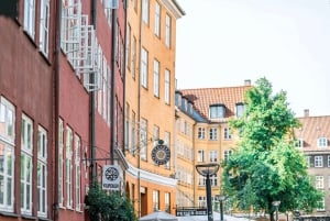 Kopenhagen: 2-uur Oude Stad privé wandeltour