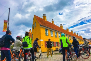 Copenhagen: 3 Hour Bike Tour with Guide