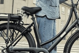 Copenhagen: 3 Hour Extended Grand E-Bike Guided Tour