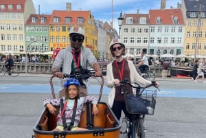 Copenhagen: 3 Hour Extended Grand E-Bike Guided Tour