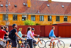 København: 3-timers privat sykkeltur