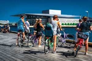 Copenhagen: 3-hour Private Guided Bike Tour