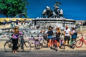 Copenhagen: 3-hour Private Guided Bike Tour