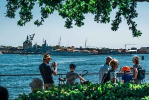 Copenhagen: 3-hour Private Guided Bike Tour