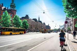 Copenhagen: 3-hour Private Guided Bike Tour