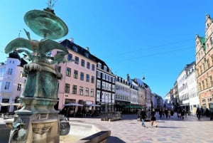 Copenhagen: Public 3-Hour Guided Walking Tour in French