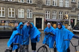Copenhagen 3h biking tour, small group max 10 people