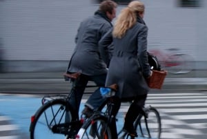 Copenhagen 3h biking tour, small group max 10 people