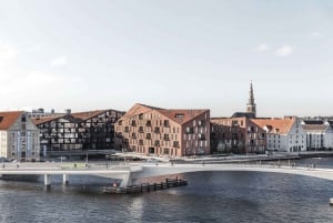 Copenhagen: Harbor Architecture Guided Walking Tour