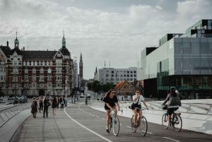 Copenhagen: Harbor Architecture Private Walking Tour
