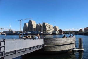 Copenhagen: Harbor Architecture Private Walking Tour