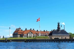Copenhagen Canal Boat Cruise and City, Nyhavn Walking Tour