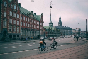 Copenaghen e Christiania: tour guidato in bicicletta in francese