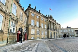 Kopenhaga: Pałac Christiansborg i wycieczka piesza w języku francuskim