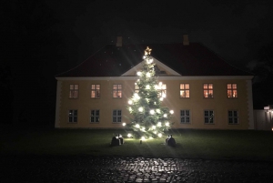 Copenhagen: Christmas and City Highlights Segway Tour