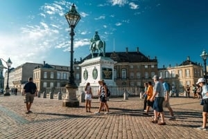 Copenaghen: Tour privato a piedi